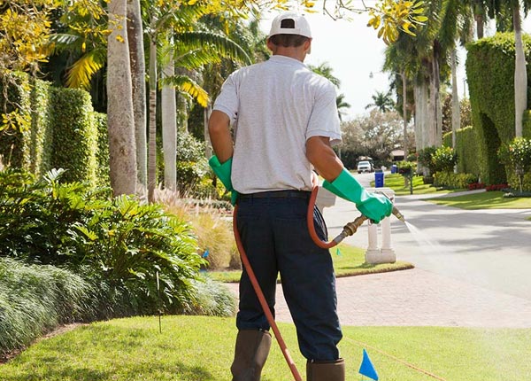 About Catharine KS Pest Control